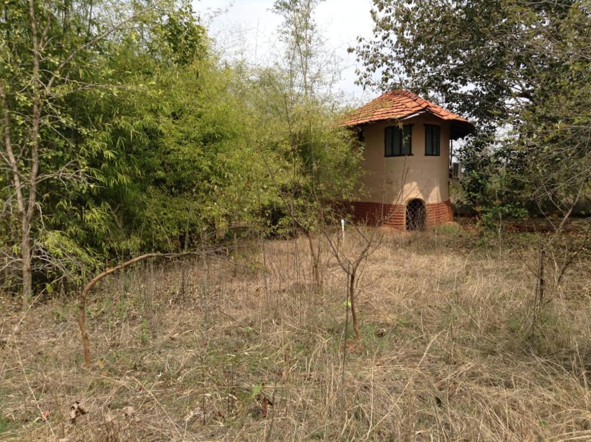 Monsoon Forest Tala  Exterior photo
